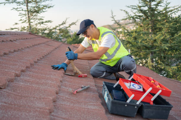 Roof Gutter Cleaning in Wyandanch, NY